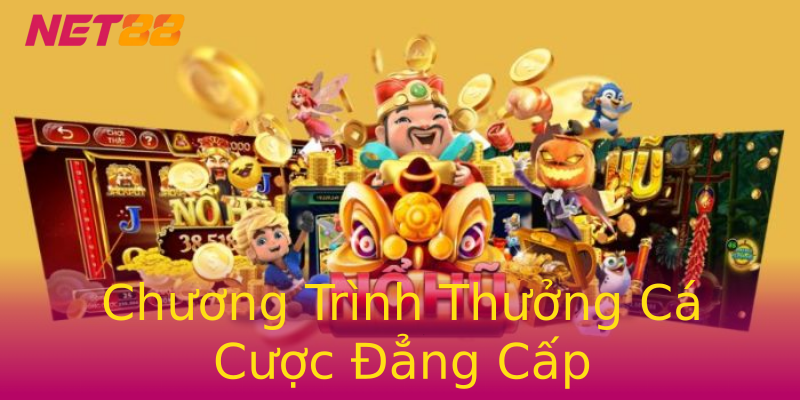 Chương Trình Thưởng Cá Cược Đẳng Cấp Chương Trình Thưởng Cá Cược Đẳng Cấp