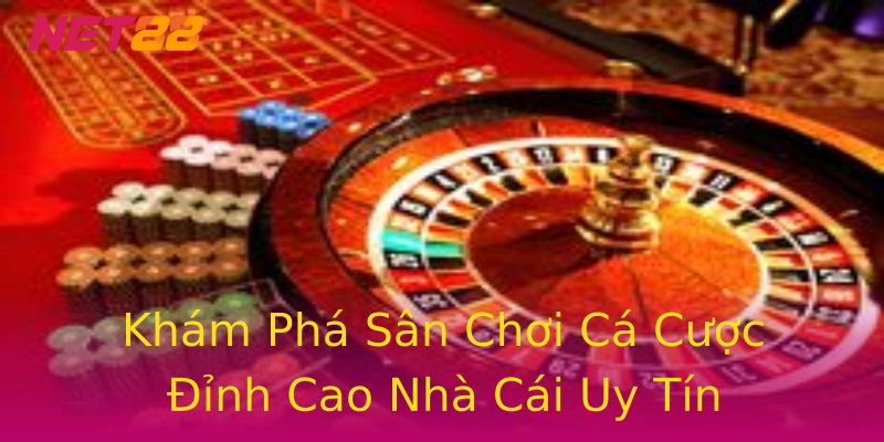 Khám Phá Sân Chơi Cá Cược Đỉnh Cao Nhà Cái Uy Tín Khám Phá Sân Chơi Cá Cược Đỉnh Cao Nhà Cái Uy Tín