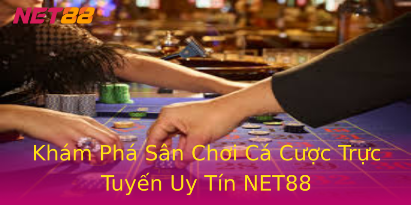 Khám Phá Sân Chơi Cá Cược Trực Tuyến Uy Tín NET88 Khám Phá Sân Chơi Cá Cược Trực Tuyến Uy Tín NET88